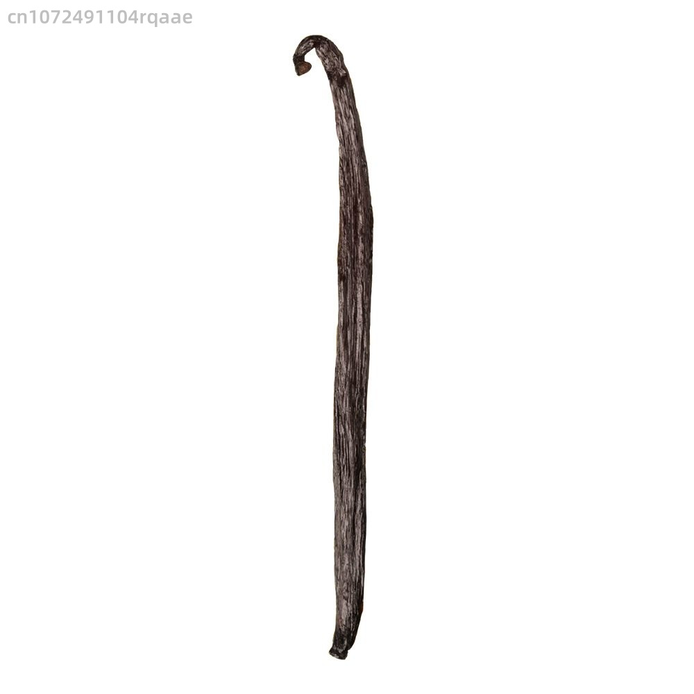14-17cm Premium Madagascar Van - Home Fragrance Vanilla ulasan dan harga