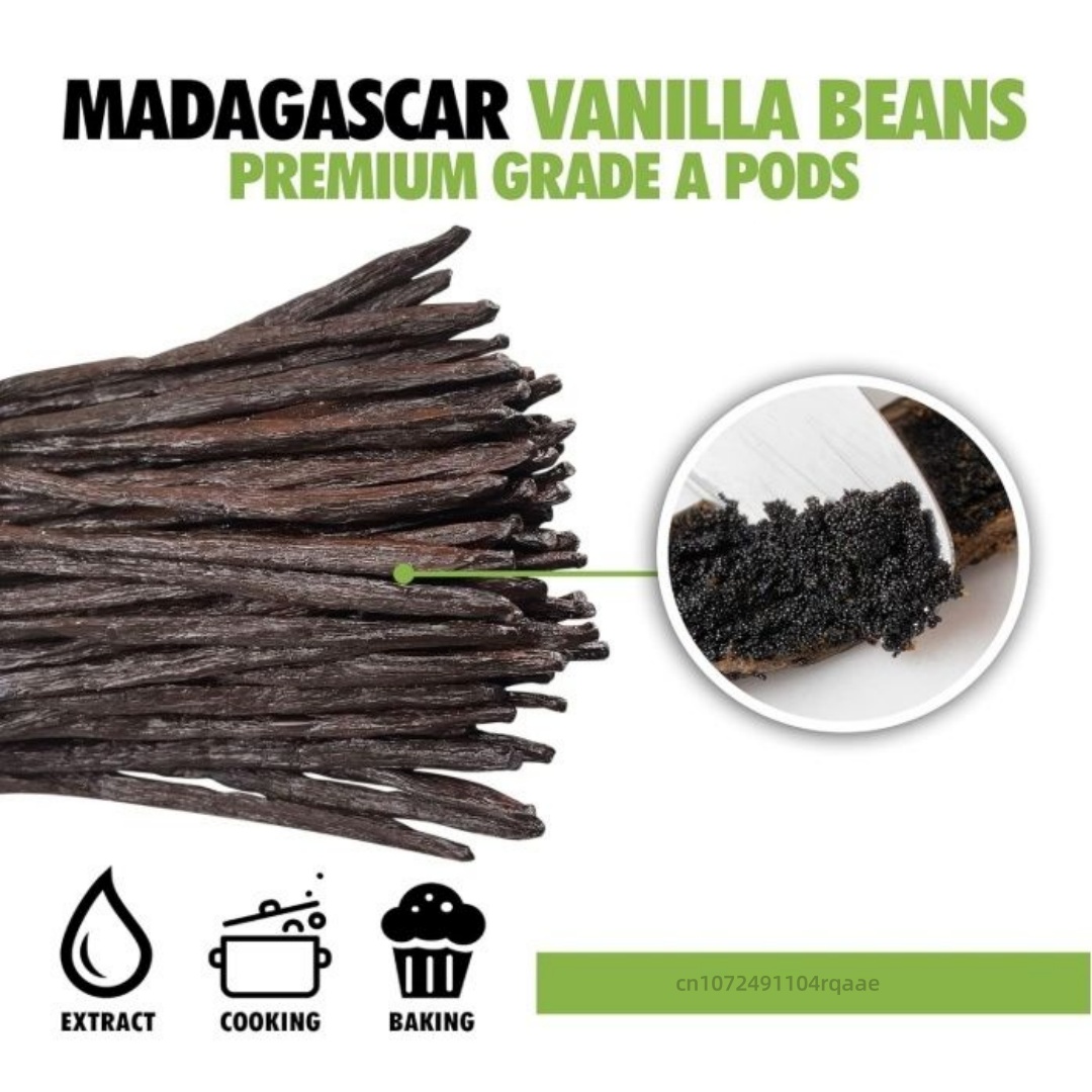 14-17cm Premium Madagascar Van - Home Fragrance Vanilla ulasan dan harga