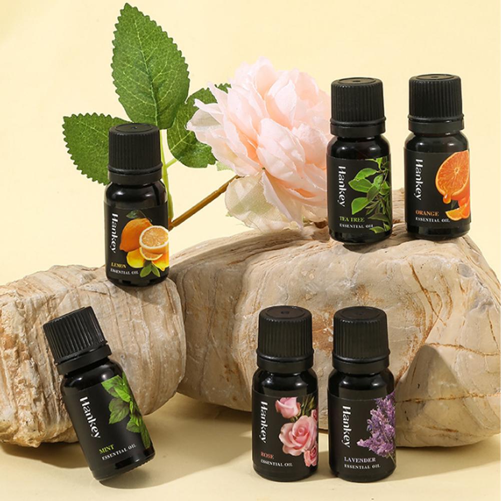 10ml Natural Plant Essential O - Home Fragrance Aroma Set ulasan dan harga